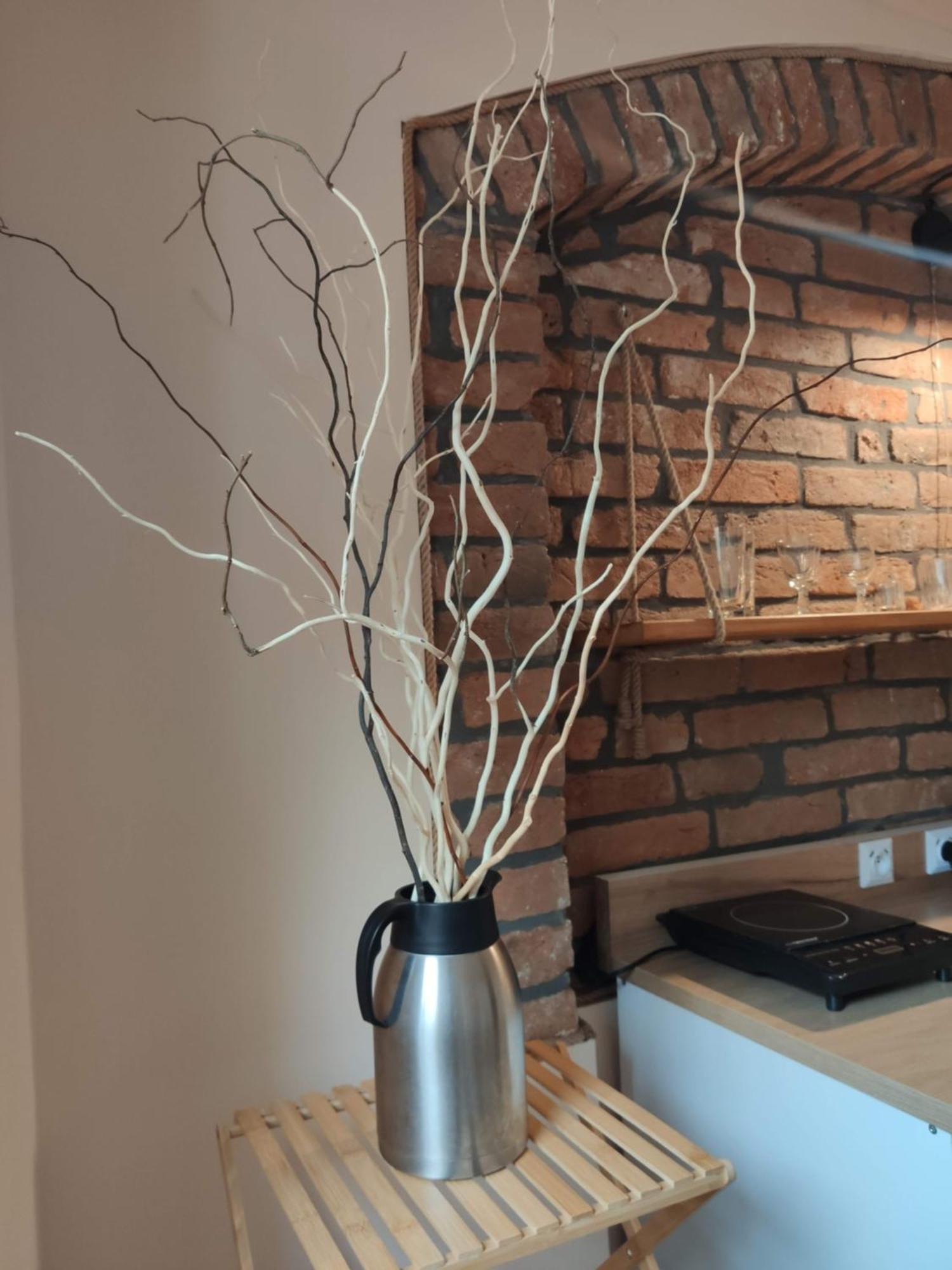 Apartamenty I Pokoje Goscinne "Wacus" Srebrna Góra エクステリア 写真