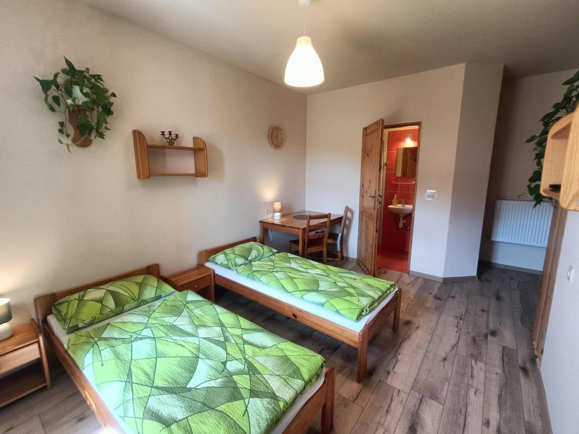 Apartamenty I Pokoje Goscinne "Wacus" Srebrna Góra エクステリア 写真